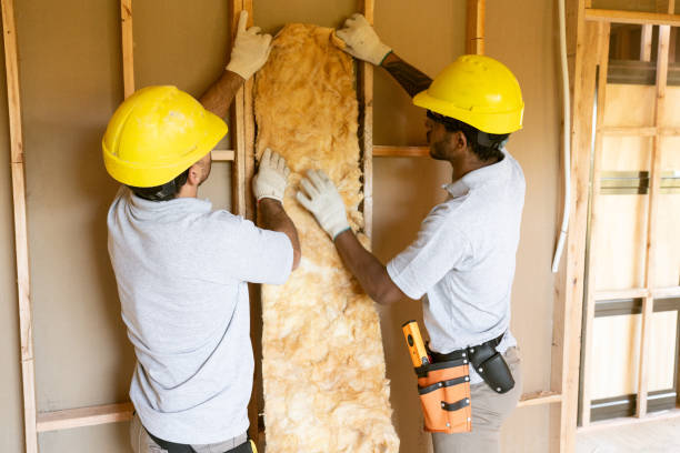 Best Insulation for New Construction  in Central Falls, RI